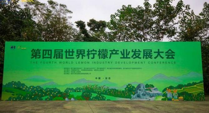 2025 世界柠檬产业发展大会开幕安岳 48 万亩柠海引全球瞩目